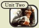 Unit Two Overview